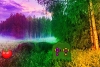 夢幻蜜蜂逃脫
