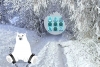 逃離暴雪地帶
